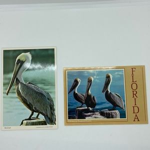 BUNDLE OF 3 VINTAGE 1970s FLORIDA POSTCARDS